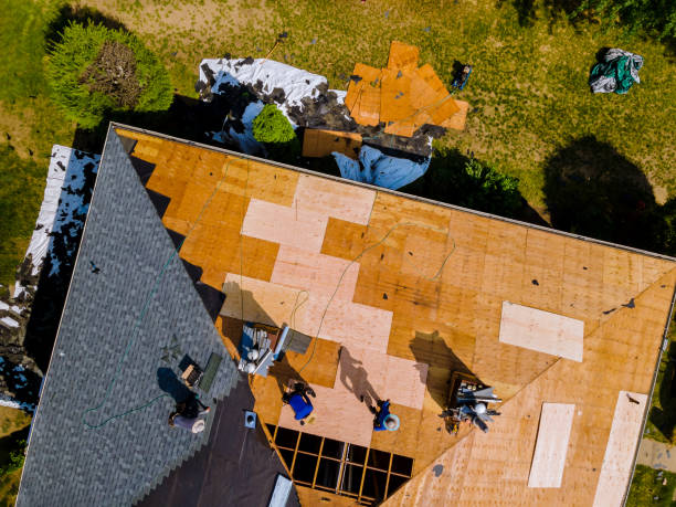 Best New Roof Installation  in Robersonville, NC