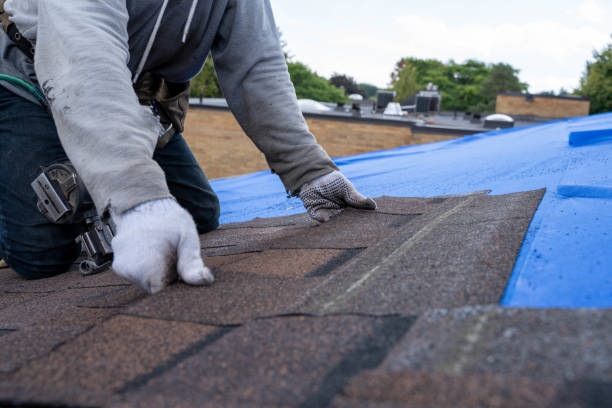Professional Roofing Contractor in Robersonville, NC