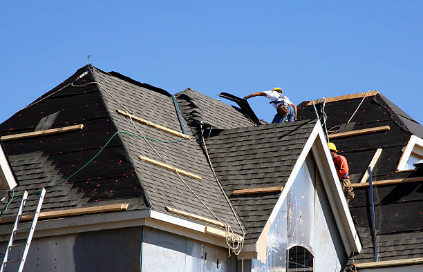 Best Storm Damage Roof Repair  in Robersonville, NC