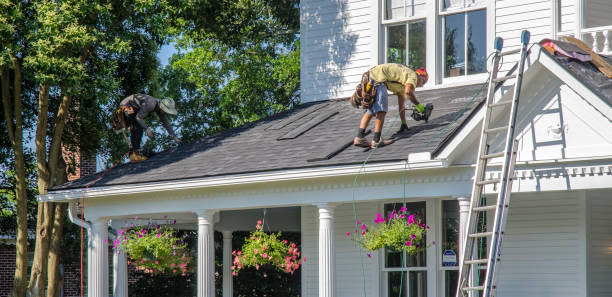 Best Affordable Roof Replacement  in Robersonville, NC