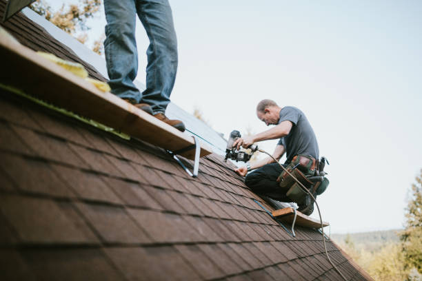 Best Roof Leak Repair  in Robersonville, NC